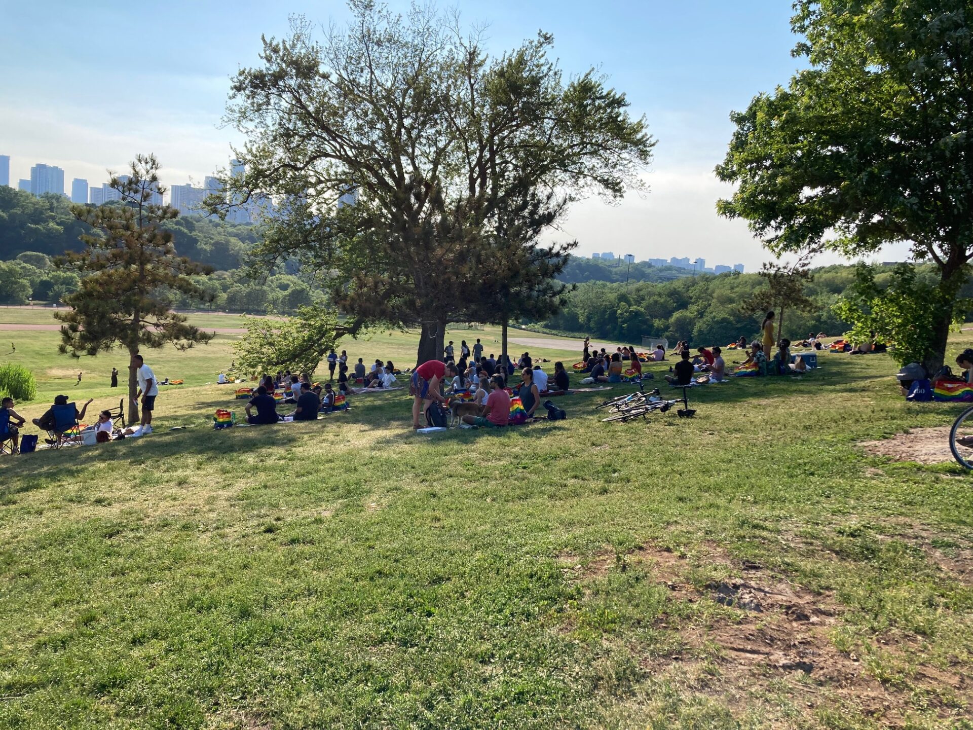 People at the park with Pride Bags